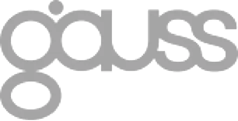 gauss-1